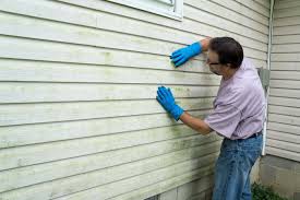 Best Vinyl Siding Installation  in Lakewood Clu, MI